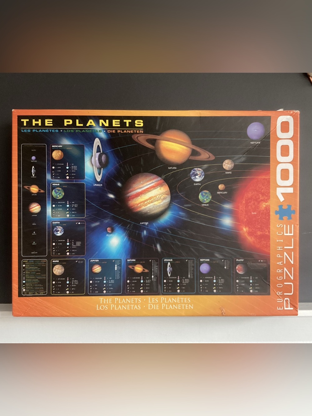1000pc Puzzle -one piece missing